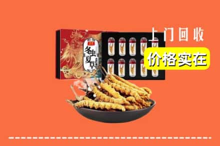 日喀则仁布县回收冬虫夏草