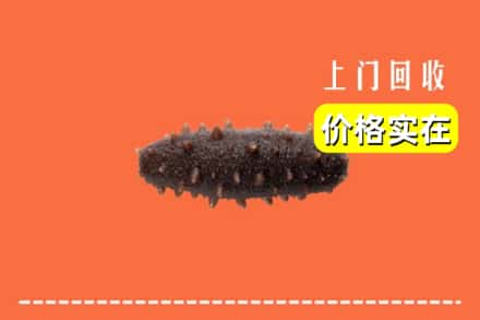 日喀则仁布县回收海参